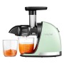Wyciskarka wolnoobrotowa AMZCHEF 1501-GN-SM (zielony)