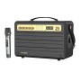 Głośnik bezprzewodowy Bluetooth W-KING K6S 100W + mikrofon (czarny)