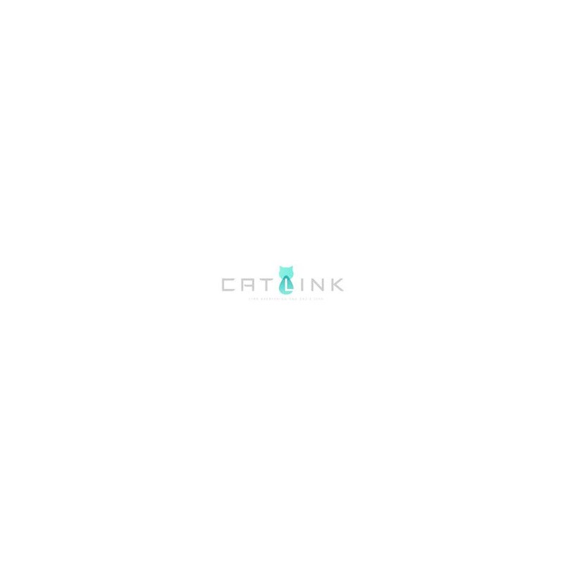 Catlink