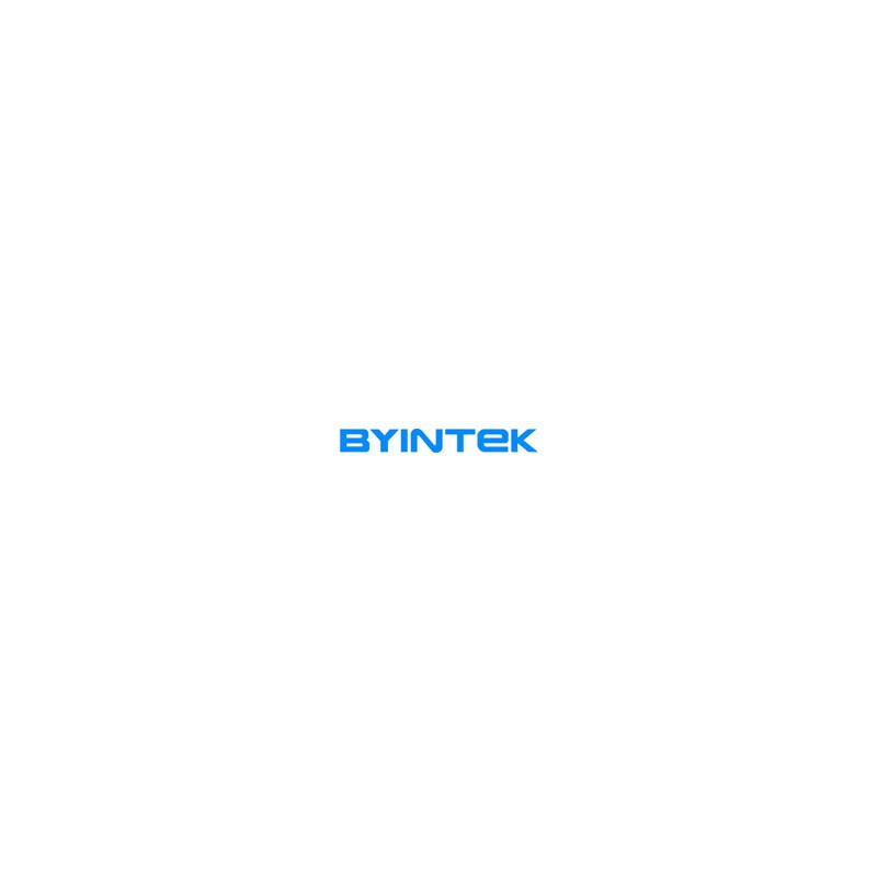 BYINTEK